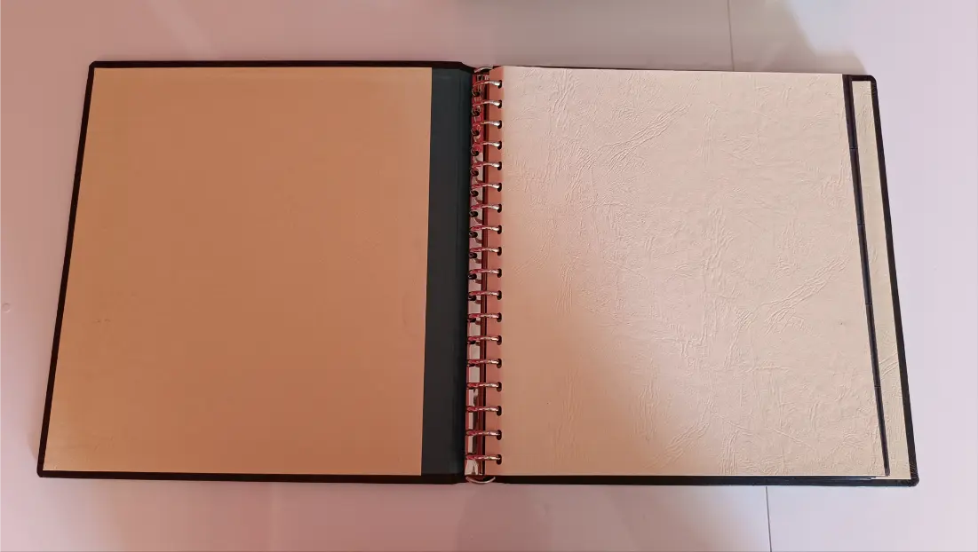 2 Raccoglitori 10 Posti Professionali con Custodia + Fogli (33pz Doppi * 660 Schede) - immagine 4