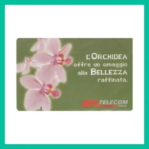 Fig. Telecom LIRE G 1085 - C&C F3165